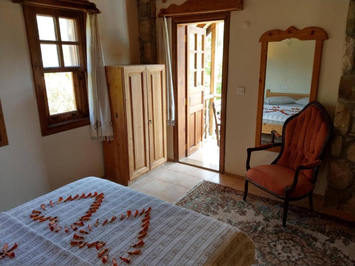 Olympos Koyevi Countryhouse Exteriér fotografie