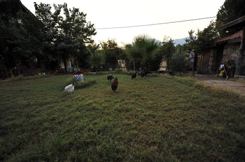 Olympos Koyevi Countryhouse Exteriér fotografie