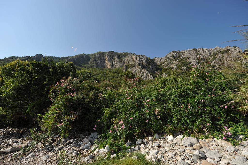 Olympos Koyevi Countryhouse Exteriér fotografie