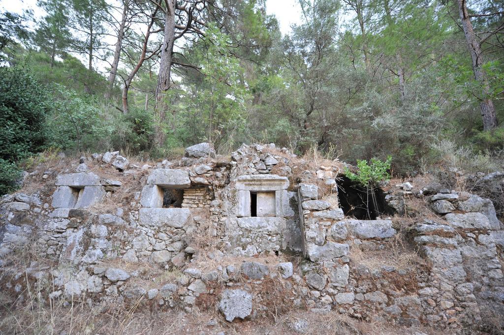 Olympos Koyevi Countryhouse Exteriér fotografie