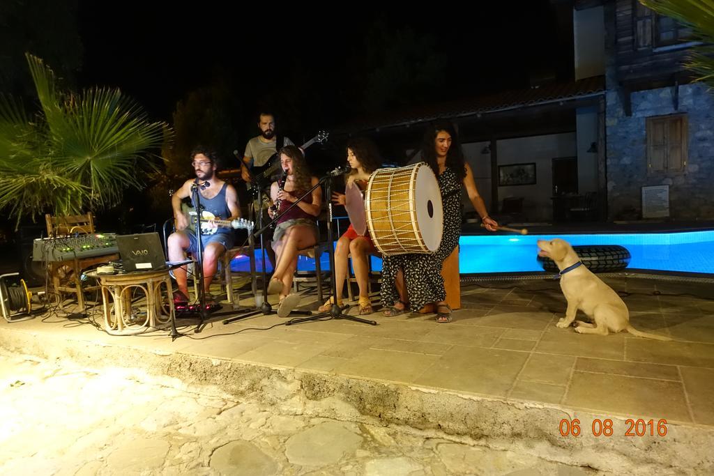 Olympos Koyevi Countryhouse Exteriér fotografie